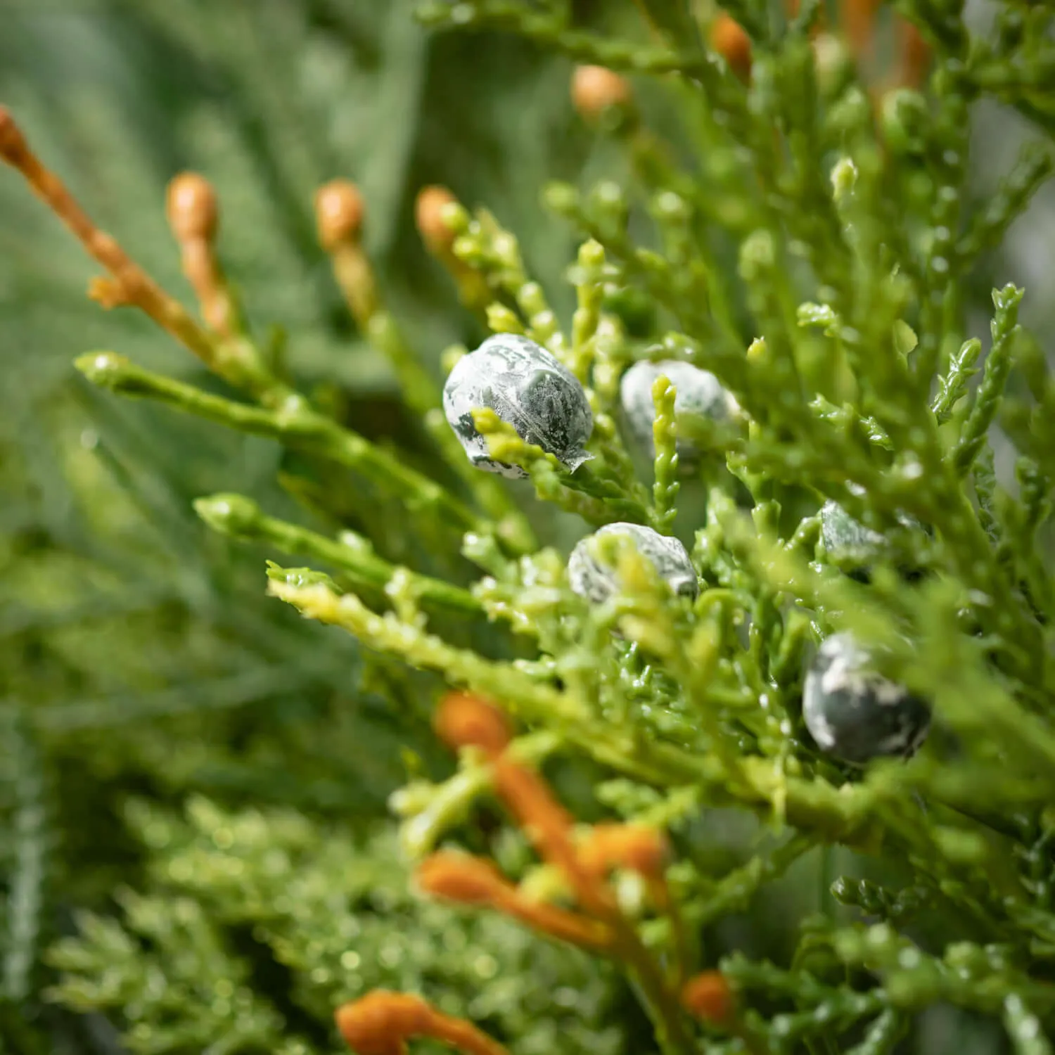 Artificial Mixed Pine & Juniper Stem Green 26"H