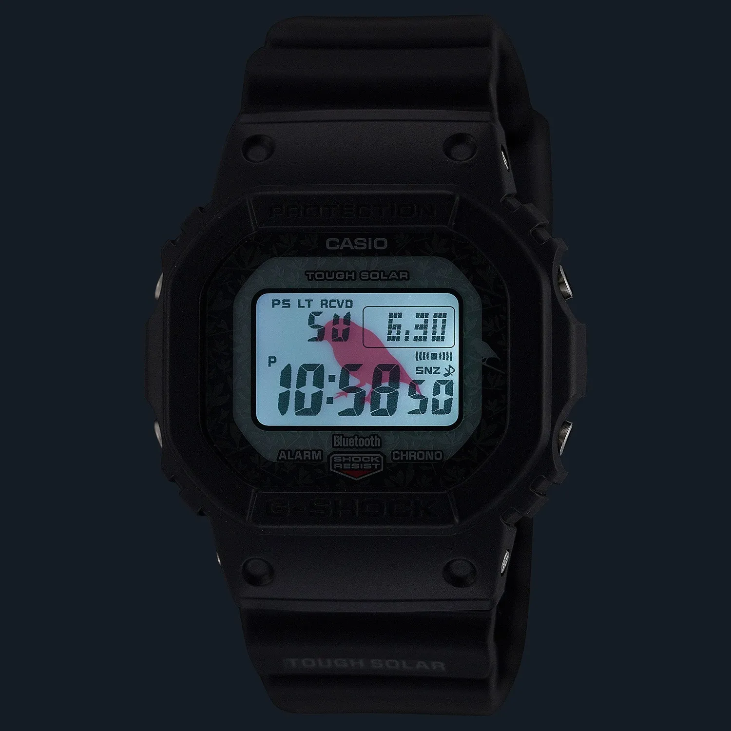 Casio G-Shock 5600 Charles Darwin Foundation Black GWB5600CD-1A3