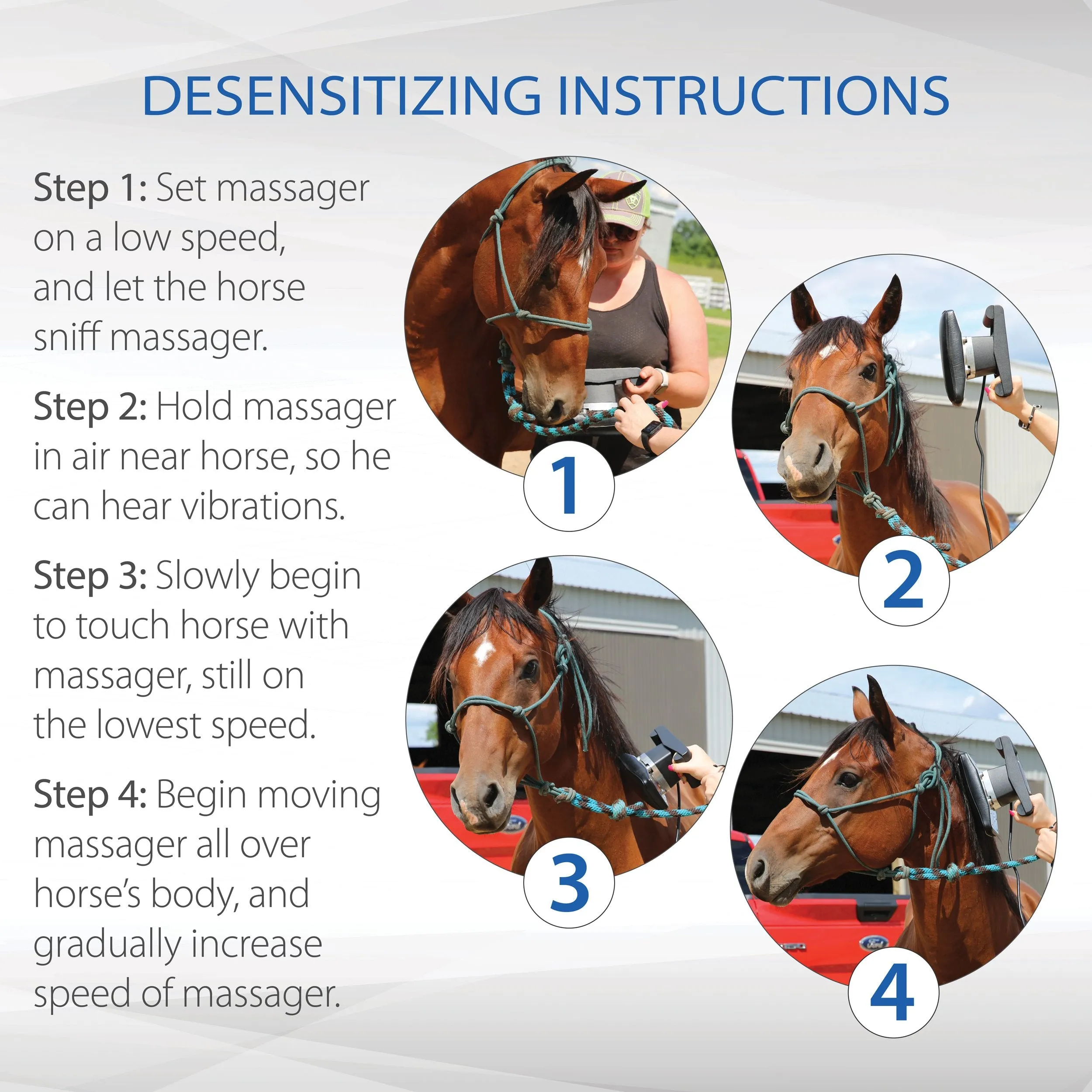 Equisports Equine Massager