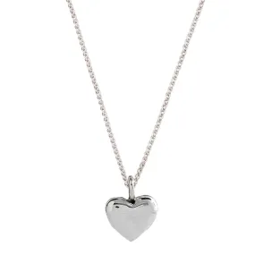 Forever Heart Silver Necklace