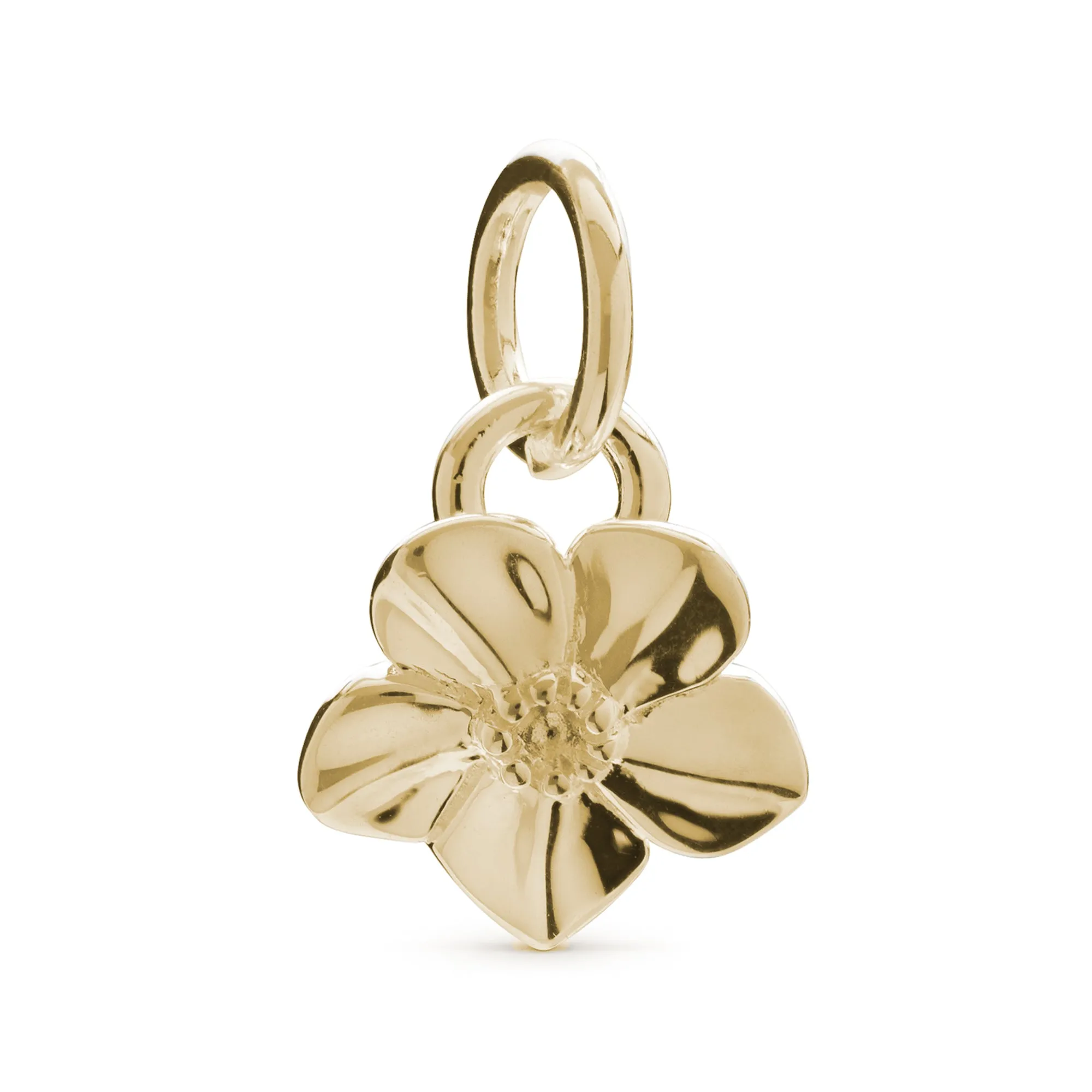 Forget-Me-Not Flower 18ct Gold Vermeil Charm