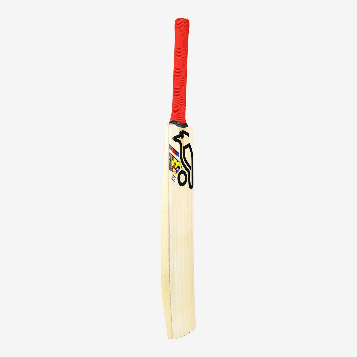 Kookaburra Beast Pro 9.0 Kashmir Junior Cricket Bat