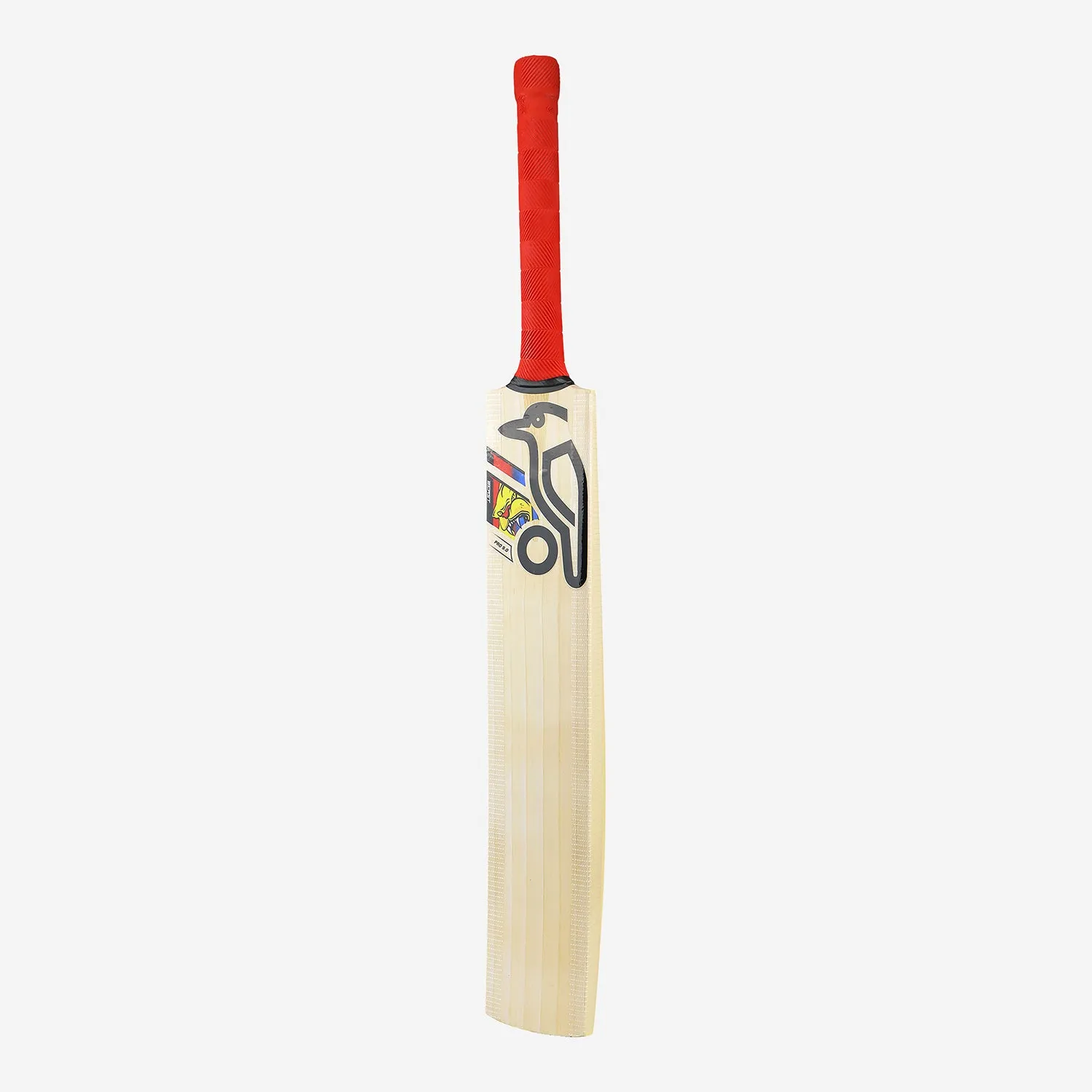 Kookaburra Beast Pro 9.0 Kashmir Junior Cricket Bat