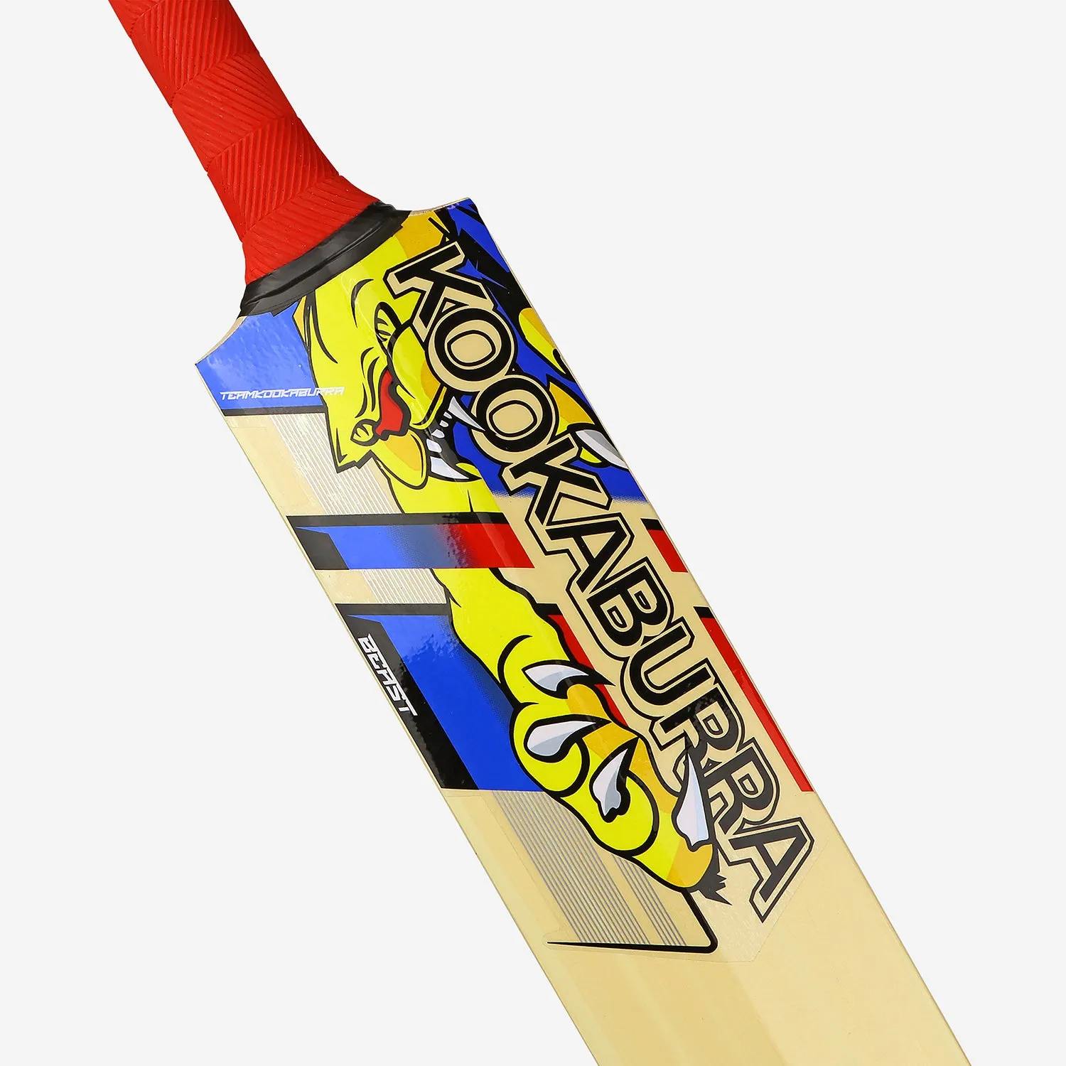 Kookaburra Beast Pro 9.0 Kashmir Junior Cricket Bat