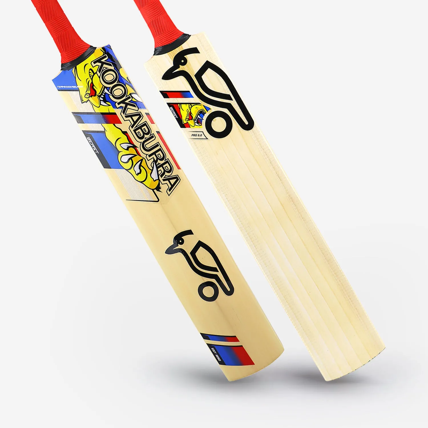 Kookaburra Beast Pro 9.0 Kashmir Junior Cricket Bat