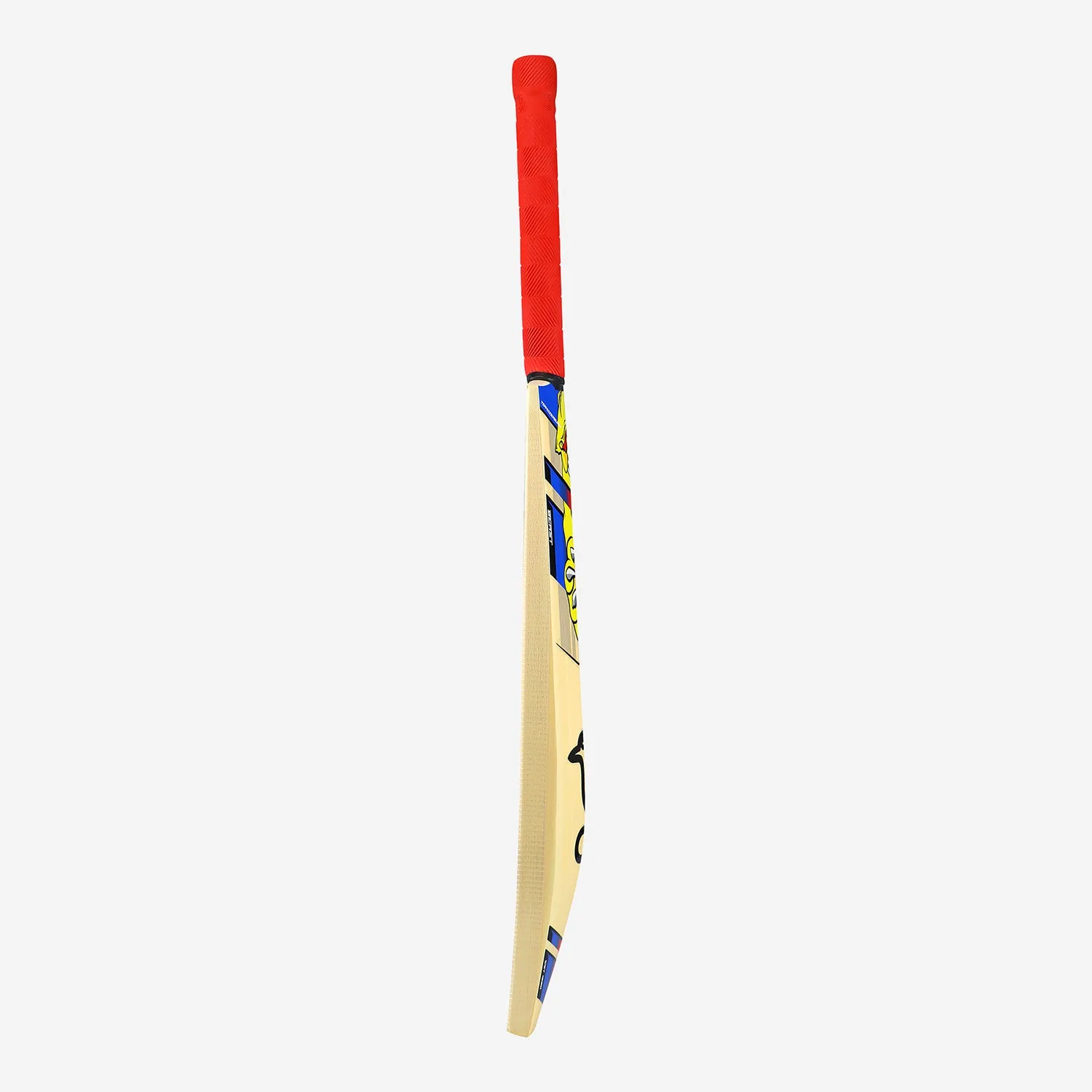 Kookaburra Beast Pro 9.0 Kashmir Junior Cricket Bat