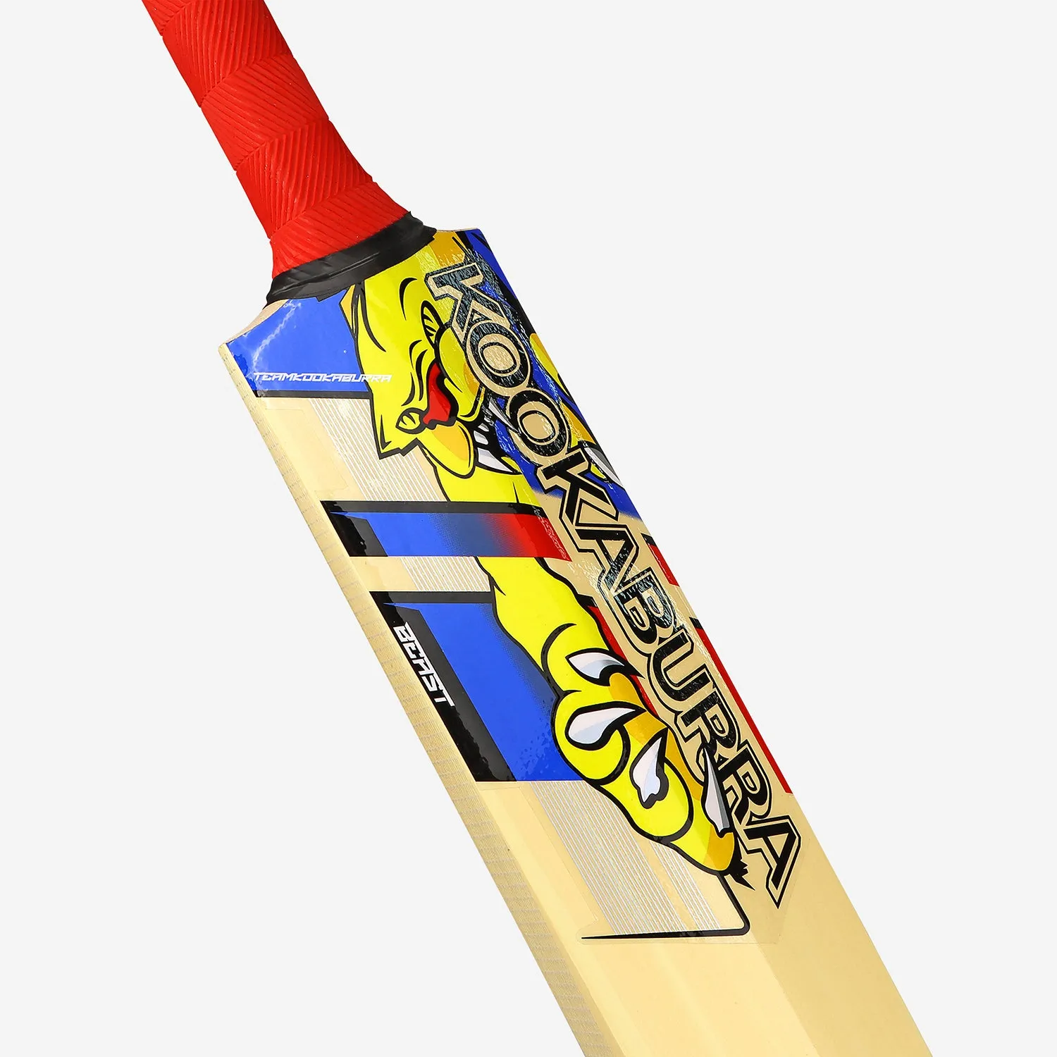 Kookaburra Beast Pro 9.0 Kashmir Junior Cricket Bat