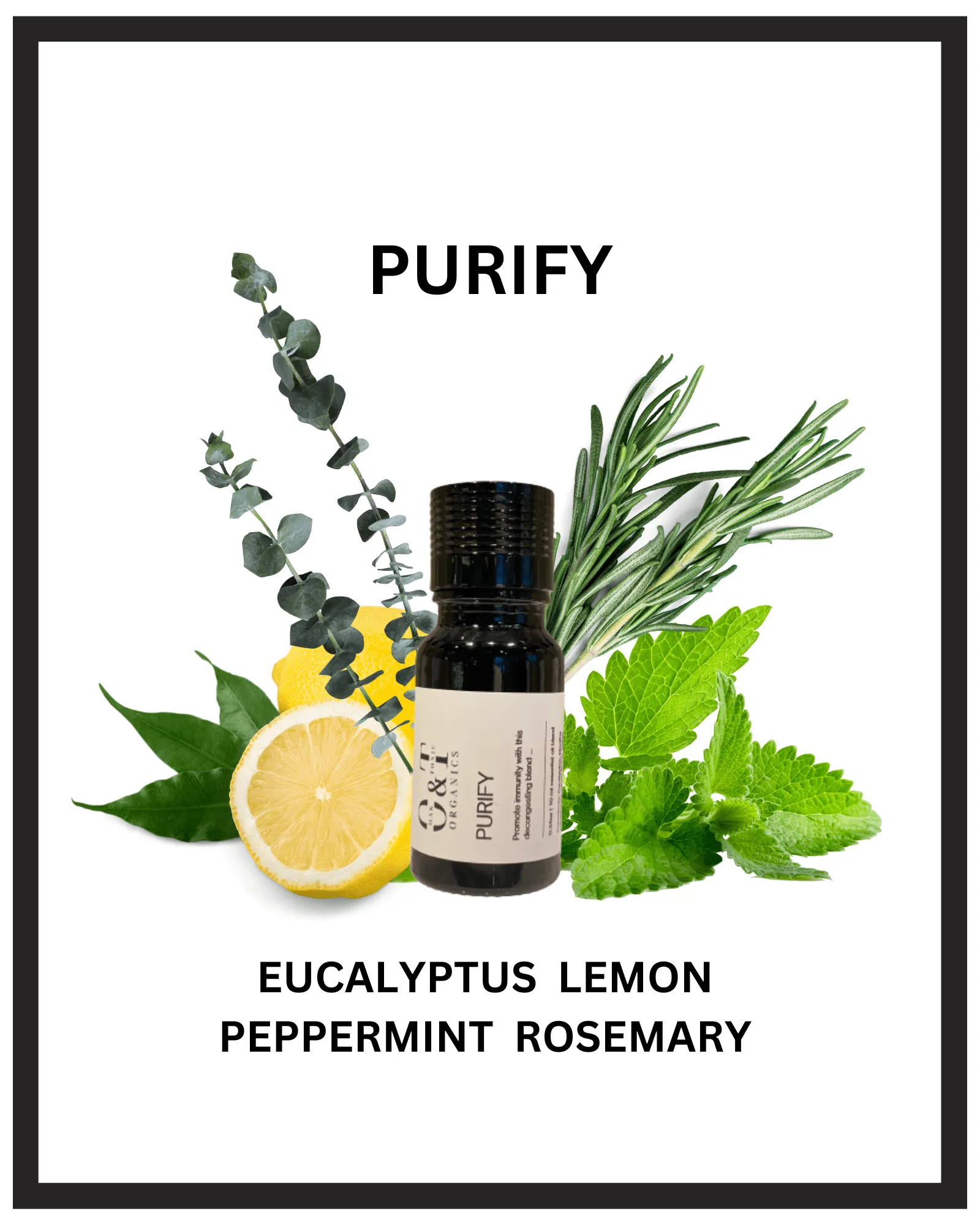 Oak & Tonic Organics | Purify Essential Oil