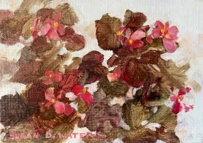 "Wax Begonia 1" by Susan D. Waters